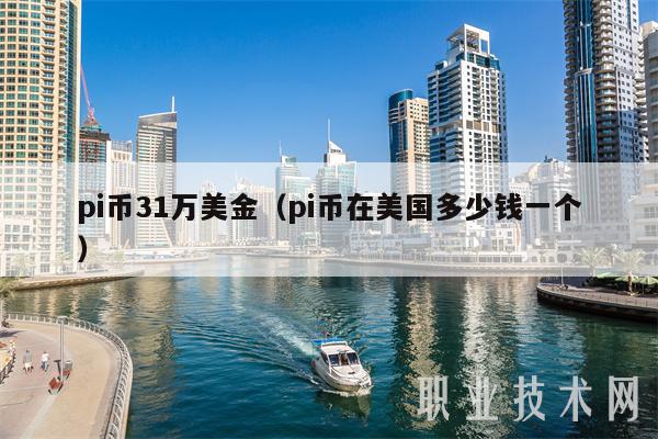 pi币31万美金（pi币在美国多少钱一个）
