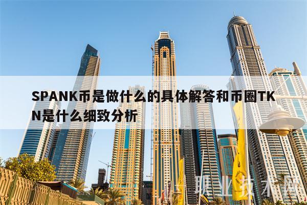 SPANK币是做什么的具体解答和币圈TKN是什么细致分析