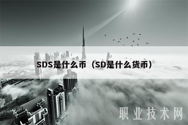 SDS是什么币（SD是什么货币）