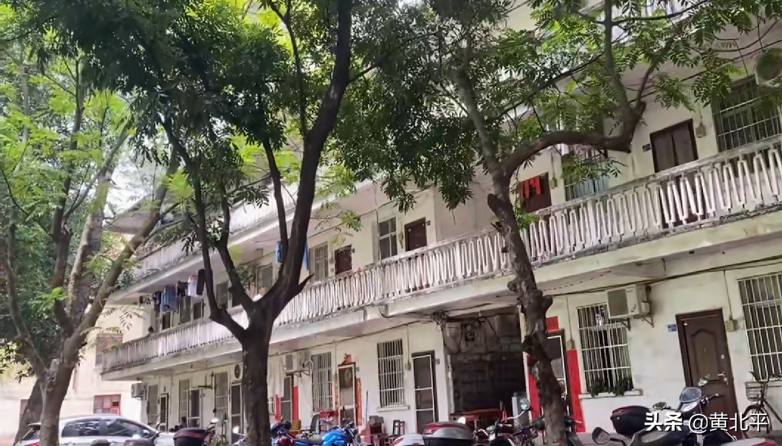 贵糖股份（贵糖股份股票）