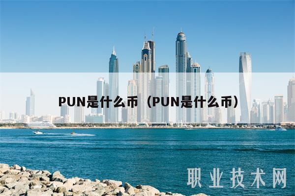 PUN是什么币(PUN是什么币)