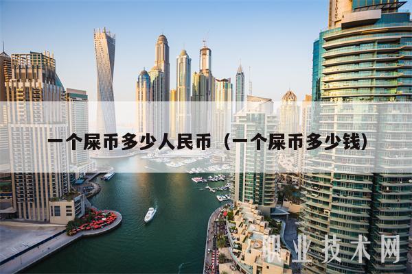 一个屎币多少人民币（一个屎币多少钱）