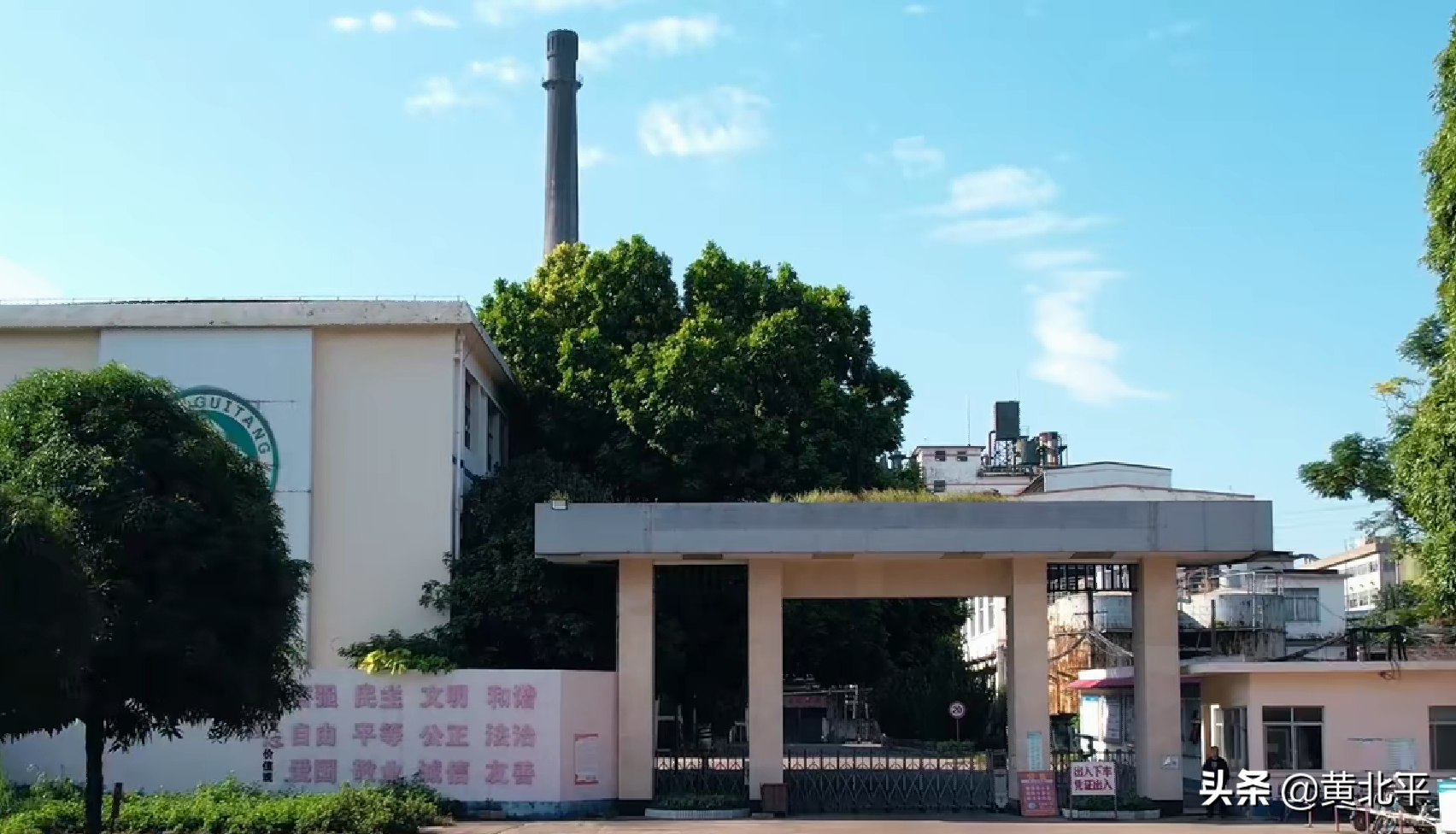 贵糖股份（贵糖股份股票）