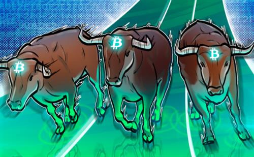 为什么比特币今天价格上涨?-币圈网