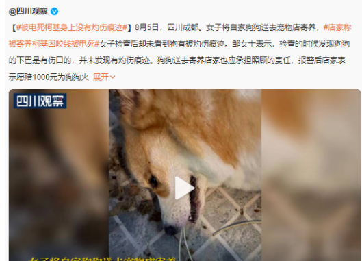 投资什么最赚钱(五千元投资什么最赚钱)