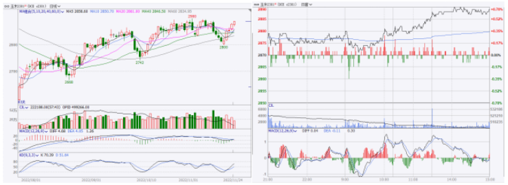 玉米销售买卖平台（玉米销售买卖平台有哪些）