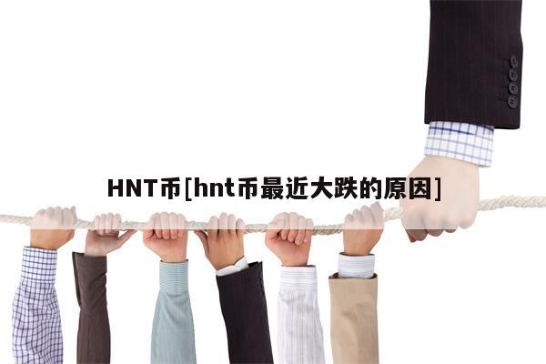 HNT币[hnt币最近大跌的原因]