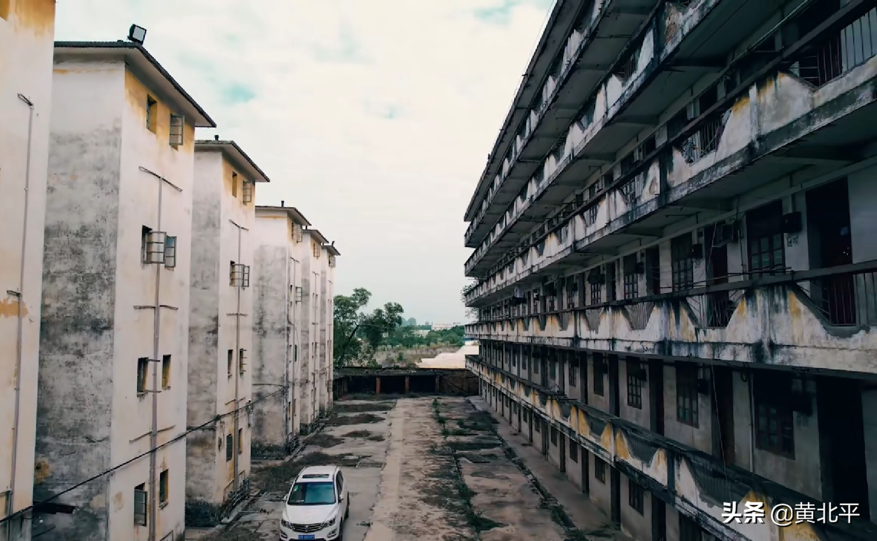 贵糖股份（贵糖股份股票）