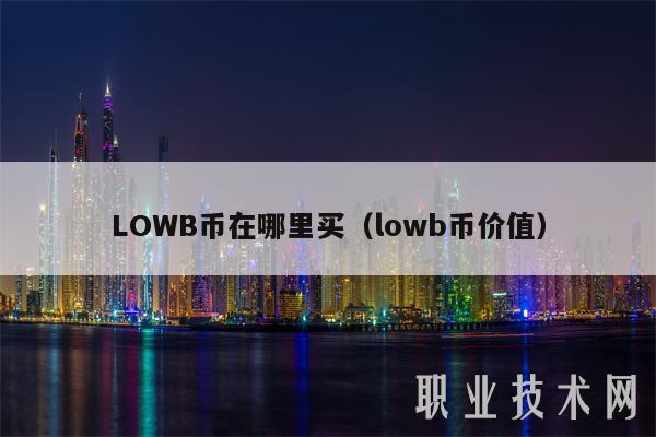 LOWB币在哪里买（lowb币价值）