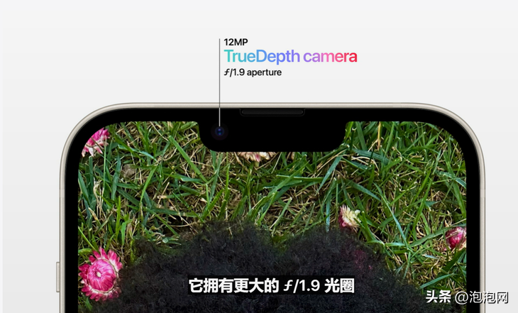 苹果今年什么时候出新款（苹果今年什么时候出新款ipad）