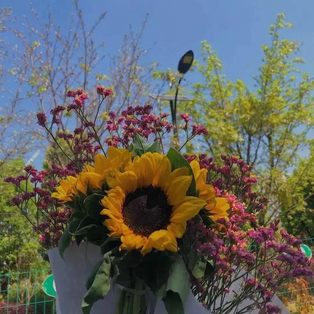 注销信用卡后果严重（注销信用卡后果严重办理）1