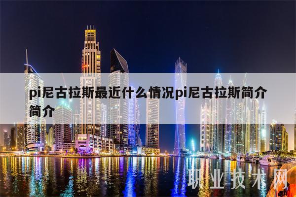 pi尼古拉斯最近什么情况pi尼古拉斯简介简介插图 pi尼古拉斯最近什么情况pi尼古拉斯简介简介