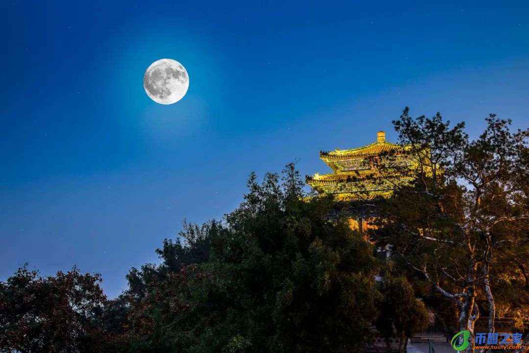 月光的唯美的诗句（月光的唯美的描写）