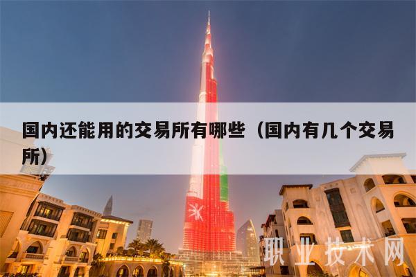 国内还能用的交易所有哪些（国内有几个交易所）