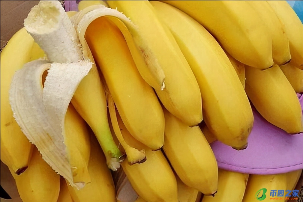 香蕉什么时候成熟（荔枝什么时候成熟）