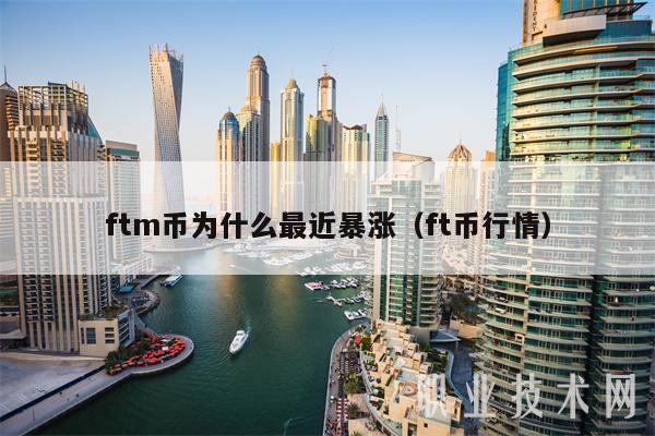 ftm币为什么最近暴涨（ft币行情）