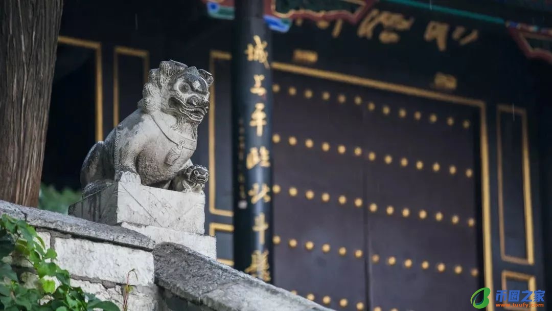 哀而不伤什么意思（哀而不伤的出处和典故）