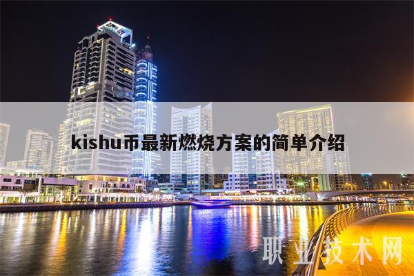 kishu币最新燃烧方案的简单介绍插图 kishu币最新燃烧方案的简单介绍