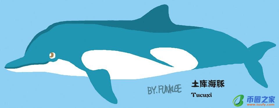 鲸鱼和海豚的区别（鲸鱼和海豚的区别在哪里）