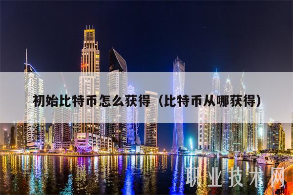 初始比特币怎么获得(比特币从哪获得)