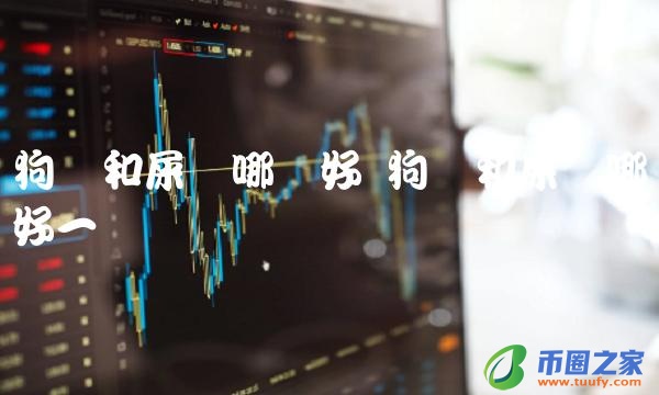 狗币和屎币哪个好一点