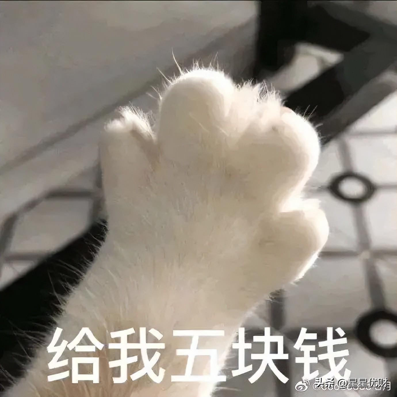 基金投资基金知识全梳理（投资基金知识点汇总）