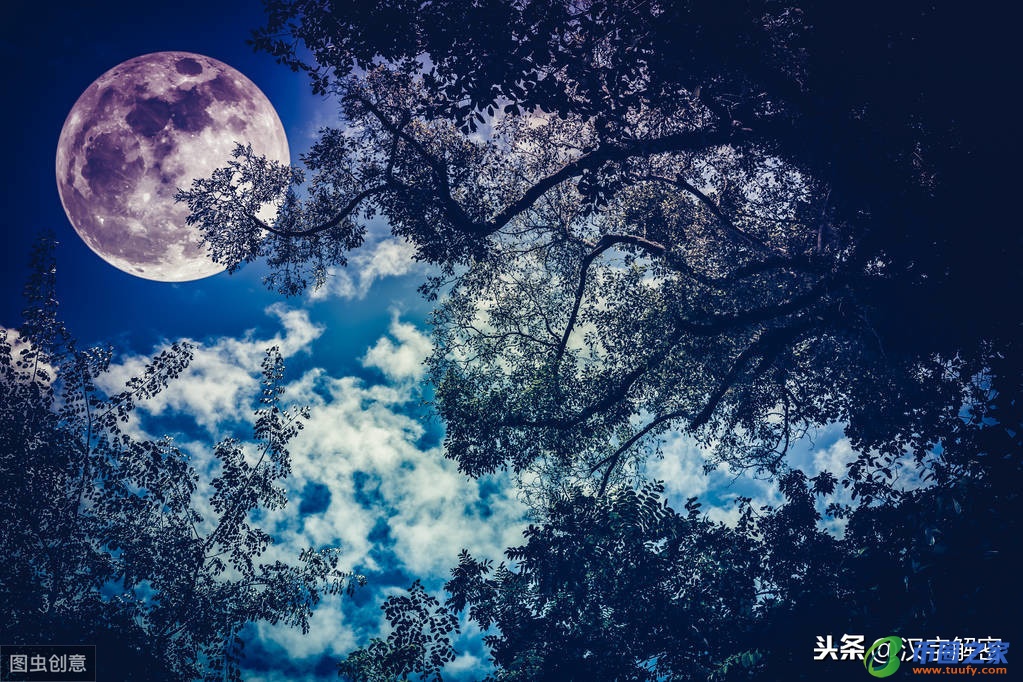 月亮的别称和雅称（古代月亮的别称和雅称）