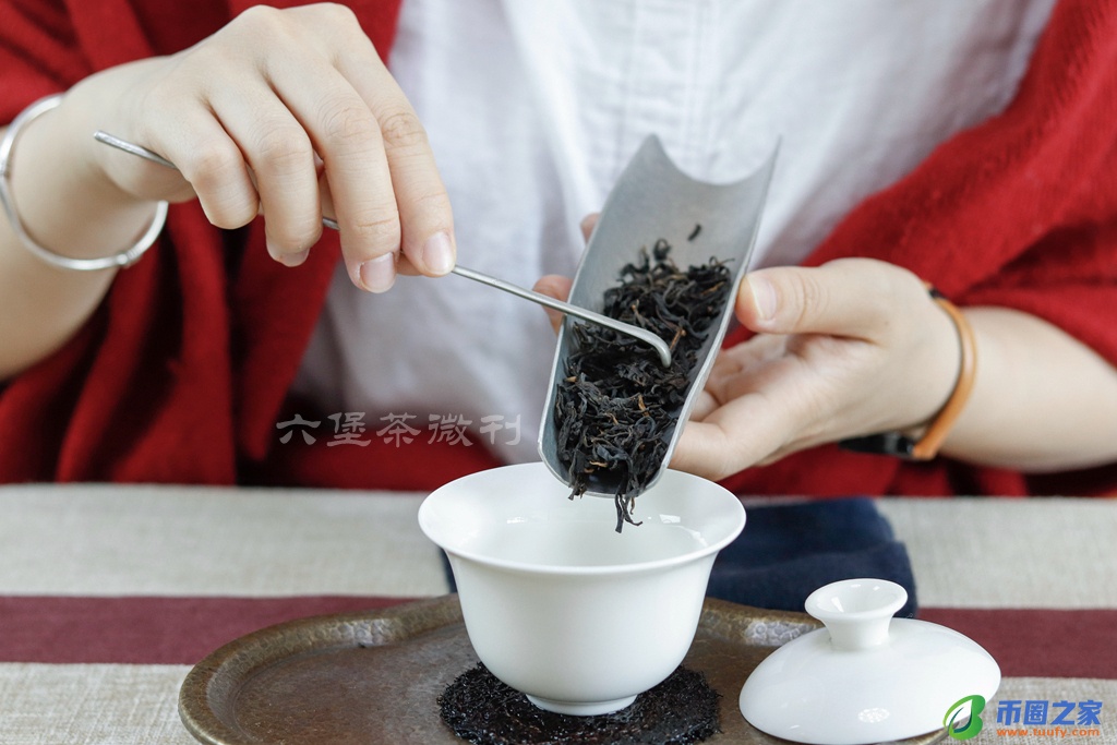 六堡茶的正确泡法（六堡茶的功效与作用）