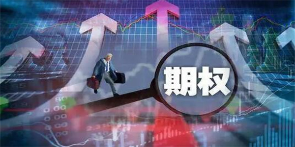 货币期权交易平台盘点 国内十大期权交易平台