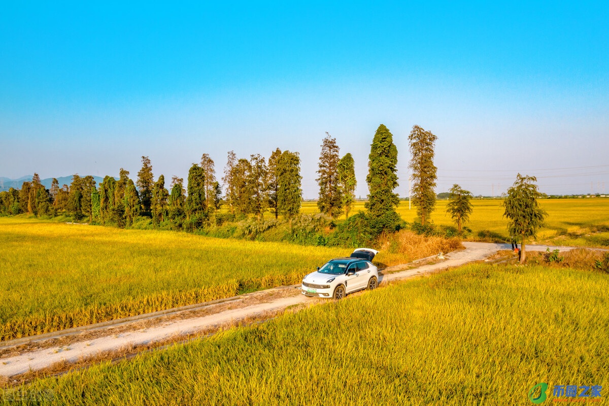 台山市属于哪个市（广州台山市属于哪个市）
