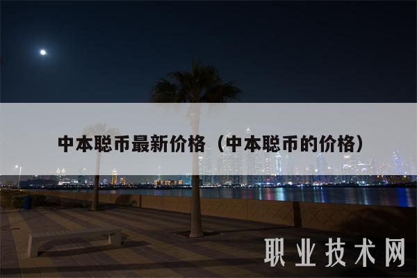 中本聪币最新价格(中本聪币的价格)