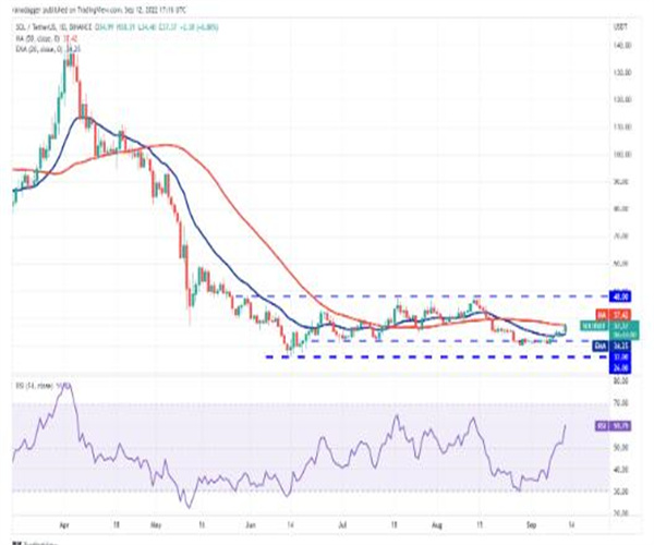价格分析:BTC、ETH、BNB、XRP、ADA、SOL、DOGE、DOT、MATIC、SHIB插图6 价格分析:BTC、ETH、BNB、XRP、ADA、SOL、DOGE、DOT、MATIC、SHIB