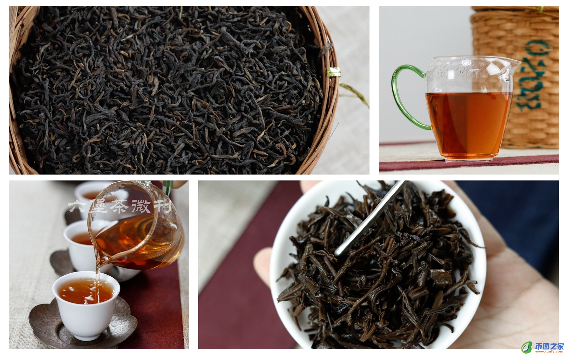六堡茶的正确泡法（六堡茶的功效与作用）