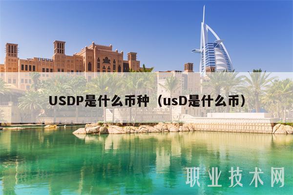 USDP是什么币种（usD是什么币）