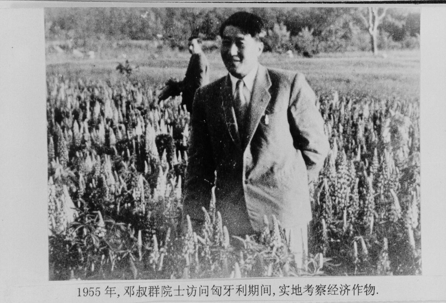 1923年属什么（1923年属什么年代）