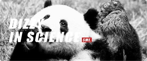 大熊猫最爱吃什么（大熊猫最爱吃什么肉）