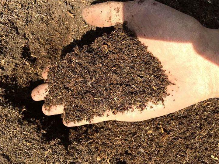 土壤的成分有哪些（土壤的成分有哪些图解）