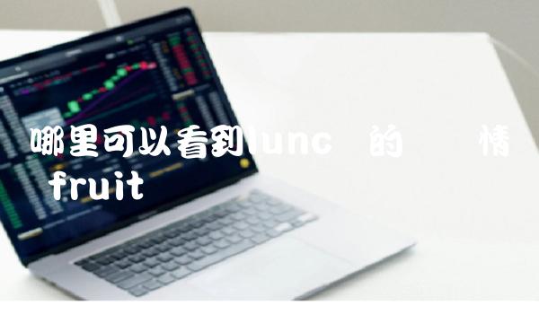 哪里可以看到lunc币的销毁情况