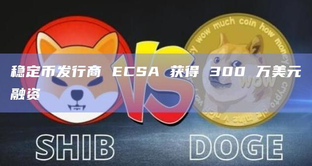 稳定币发行商 ECSA 获得 300 万美元融资