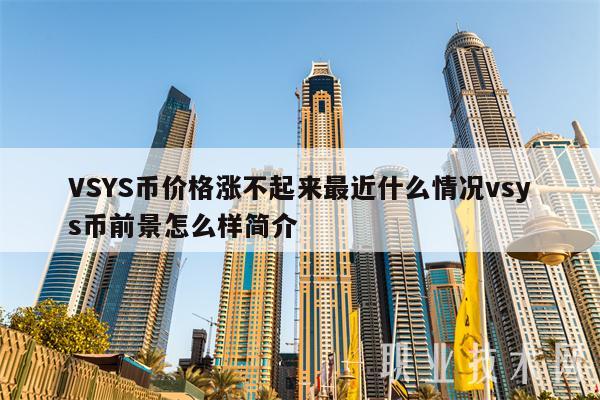 VSYS币价格涨不起来最近什么情况vsys币前景怎么样简介