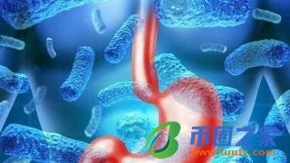 生牛乳需要煮沸吗（生牛乳需要加热吗）