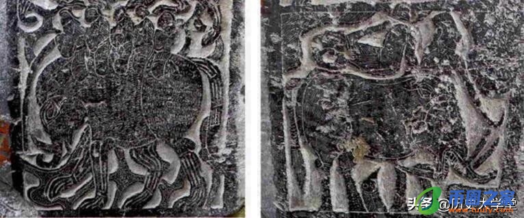 大象代表什么寓意（在泰国大象代表什么寓意）