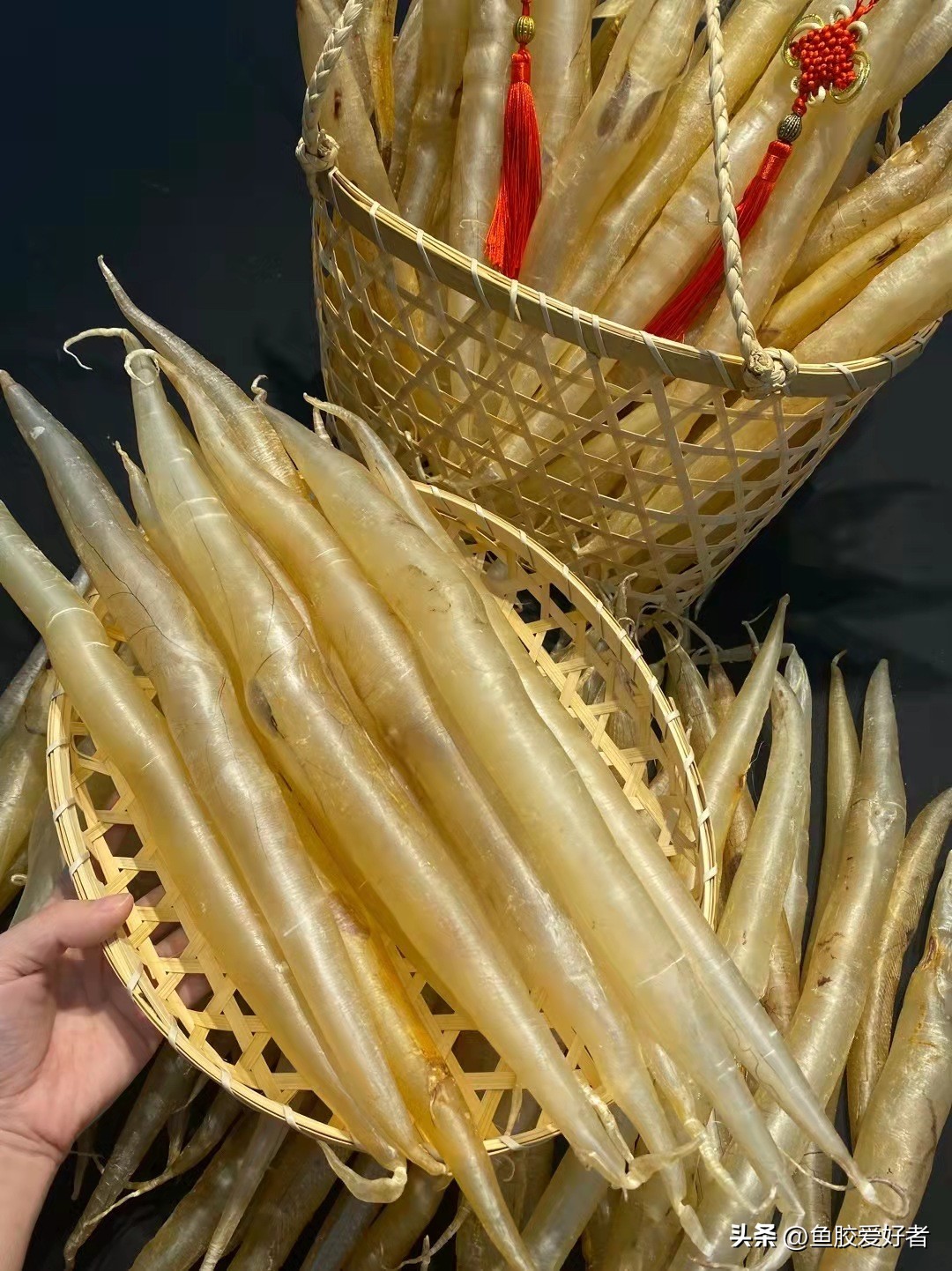 什么鱼的鱼胶最好（吃鱼胶的10大禁忌）