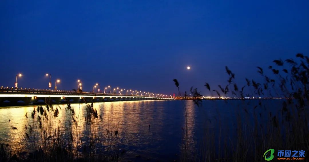 月光的唯美的诗句（月光的唯美的描写）