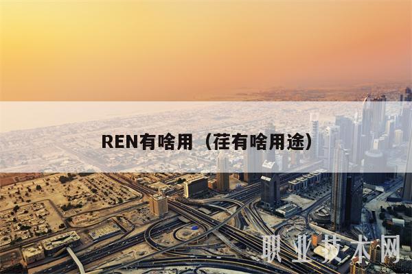 REN有啥用（荏有啥用途）