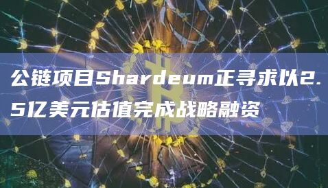 公链项目Shardeum正寻求以2.5亿美元估值完成战略融资