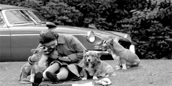 英国女王去世以后 英国女王死后的财富会怎样？