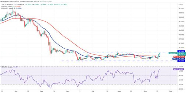 这就是为什么美联储加息0.75% 可能对虚拟货币有利的原因