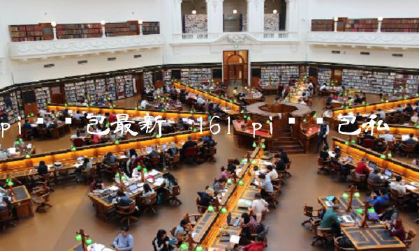 pi币钱包最新扳161