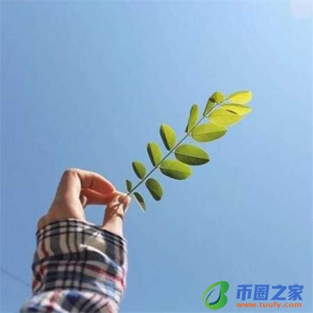 毒鸡汤是什么意思(毒鸡汤是什么意思网络用语)